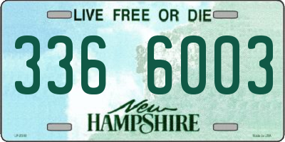 NH license plate 3366003