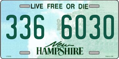 NH license plate 3366030