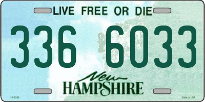 NH license plate 3366033