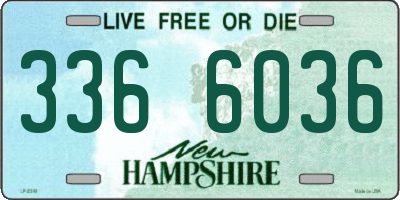 NH license plate 3366036
