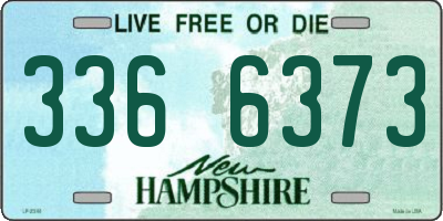 NH license plate 3366373