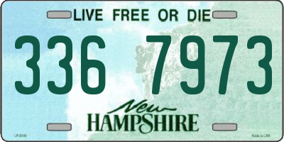 NH license plate 3367973
