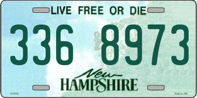 NH license plate 3368973