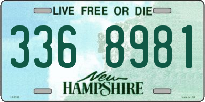 NH license plate 3368981
