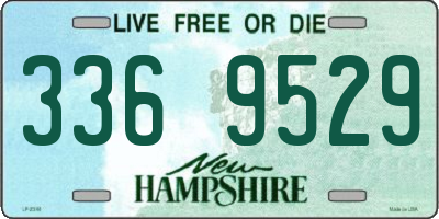 NH license plate 3369529