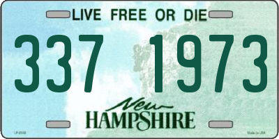 NH license plate 3371973