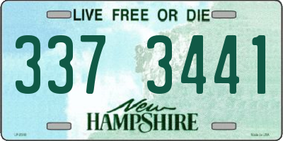 NH license plate 3373441