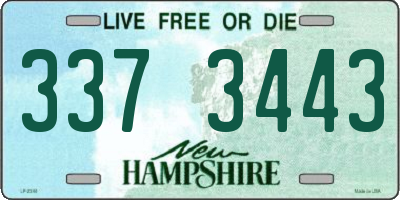 NH license plate 3373443