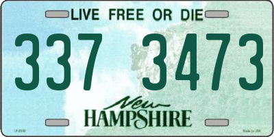 NH license plate 3373473