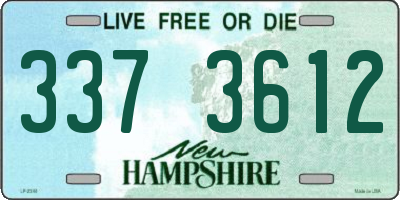 NH license plate 3373612