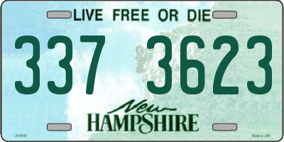 NH license plate 3373623