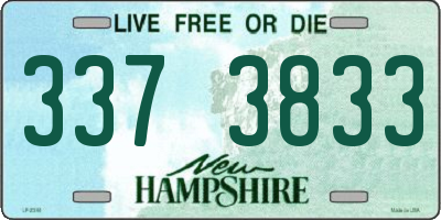 NH license plate 3373833