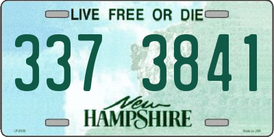 NH license plate 3373841