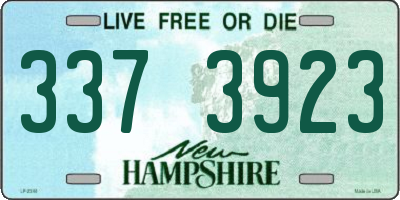 NH license plate 3373923
