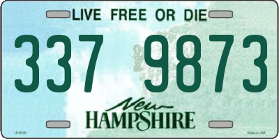 NH license plate 3379873