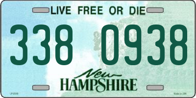 NH license plate 3380938