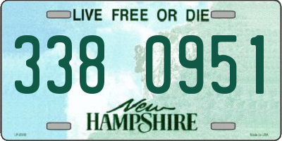 NH license plate 3380951
