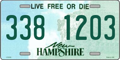 NH license plate 3381203