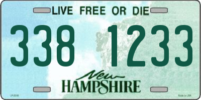 NH license plate 3381233