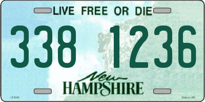 NH license plate 3381236