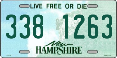 NH license plate 3381263