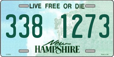 NH license plate 3381273