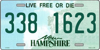 NH license plate 3381623