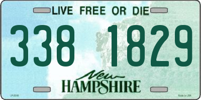 NH license plate 3381829