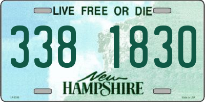 NH license plate 3381830