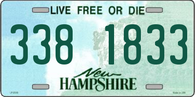 NH license plate 3381833