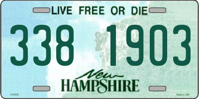 NH license plate 3381903