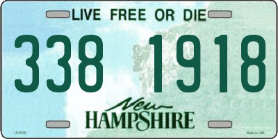 NH license plate 3381918