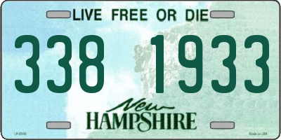 NH license plate 3381933