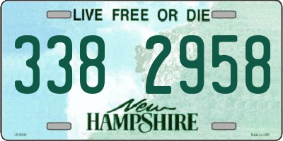 NH license plate 3382958