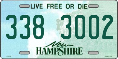 NH license plate 3383002