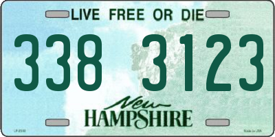 NH license plate 3383123