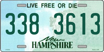 NH license plate 3383613