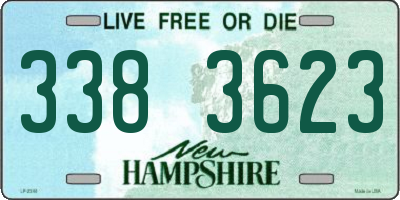 NH license plate 3383623