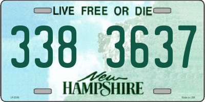 NH license plate 3383637