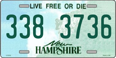 NH license plate 3383736