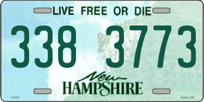 NH license plate 3383773