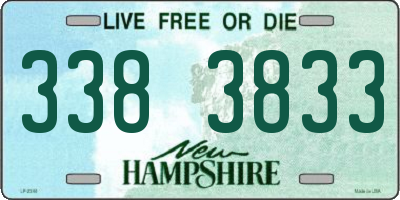 NH license plate 3383833