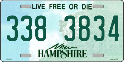 NH license plate 3383834