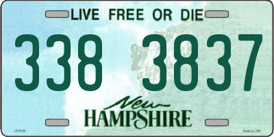NH license plate 3383837