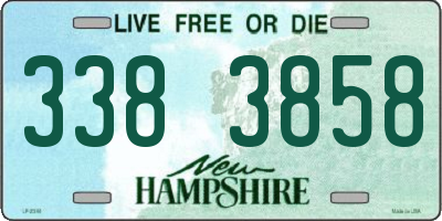 NH license plate 3383858