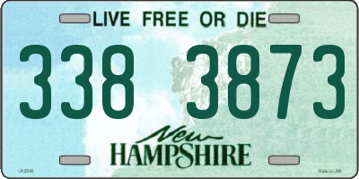 NH license plate 3383873