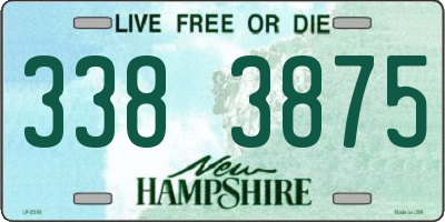 NH license plate 3383875