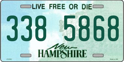 NH license plate 3385868