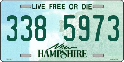 NH license plate 3385973