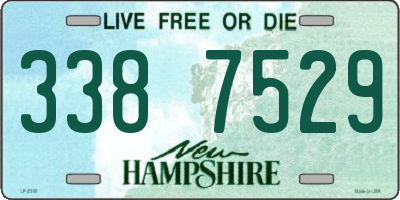 NH license plate 3387529